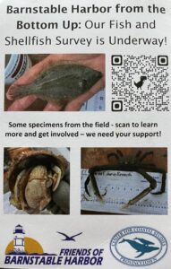 small poster advertsiing FBH "Fish & Shellfish" Survey is Underway.  Pictures of small fish, crab, and crab on a ruler